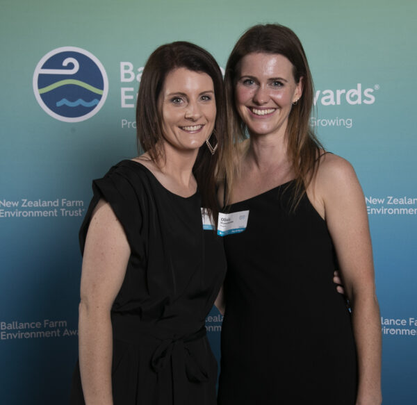 Bfea Awards 137