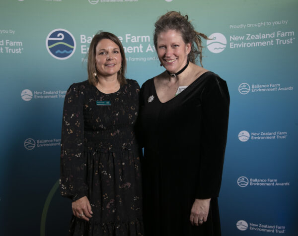 Bfea Awards 142