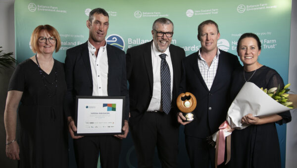 Bfea Awards 157