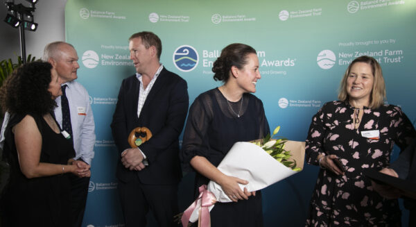 Bfea Awards 160