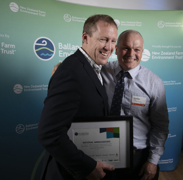 Bfea Awards 163