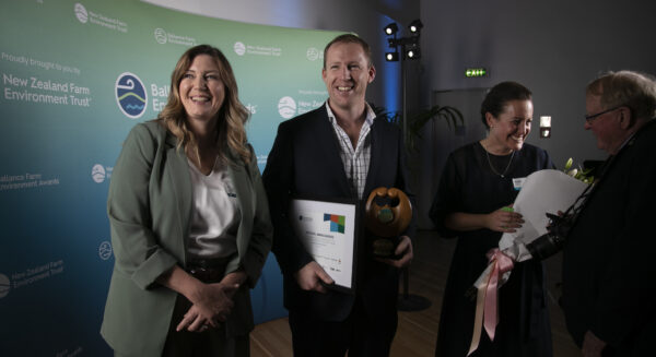 Bfea Awards 165