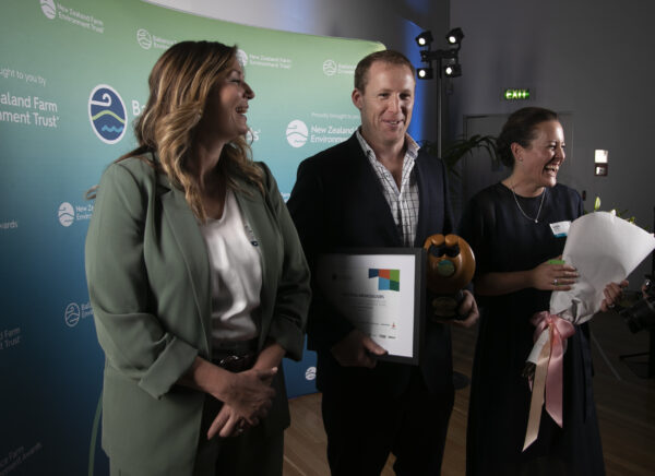 Bfea Awards 166