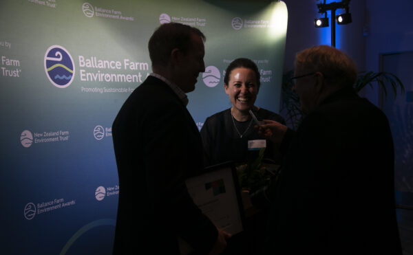Bfea Awards 180