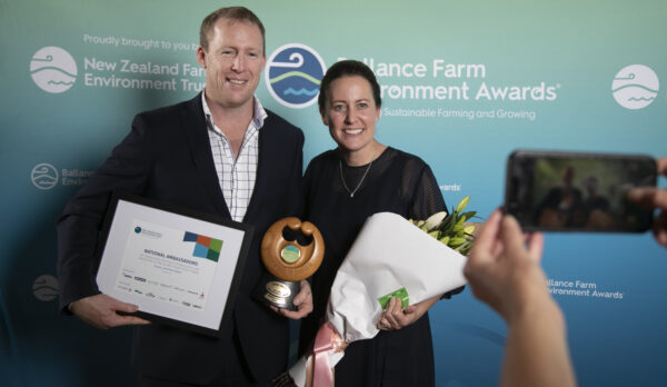 Bfea Awards 185