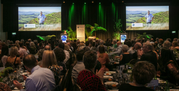 Bfea Awards 39