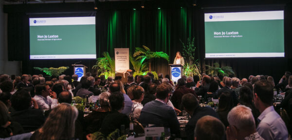 Bfea Awards 45