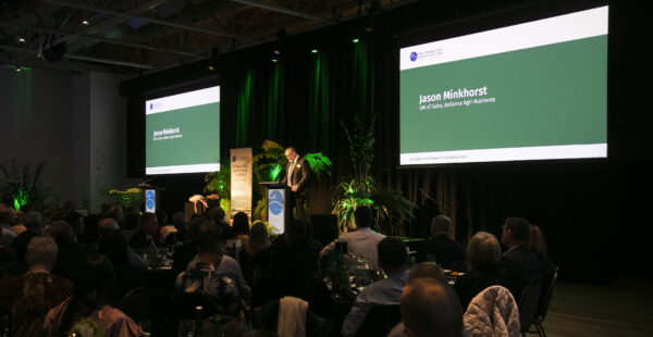 Bfea Awards 46
