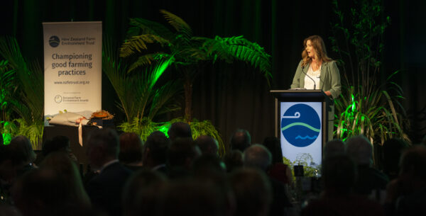 Bfea Awards 57