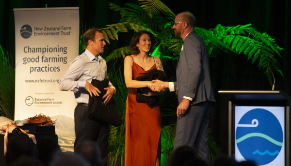 Bfea Awards 72