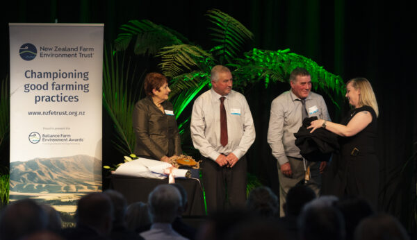 Bfea Awards 78