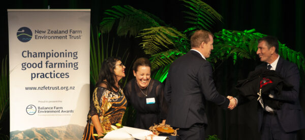 Bfea Awards 82