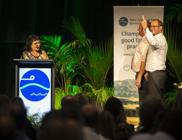 Bfea Awards 83