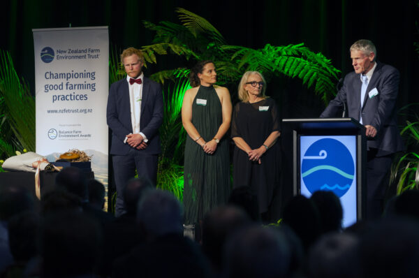 Bfea Awards 85