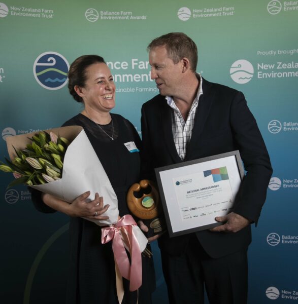 Bfea Winners 05
